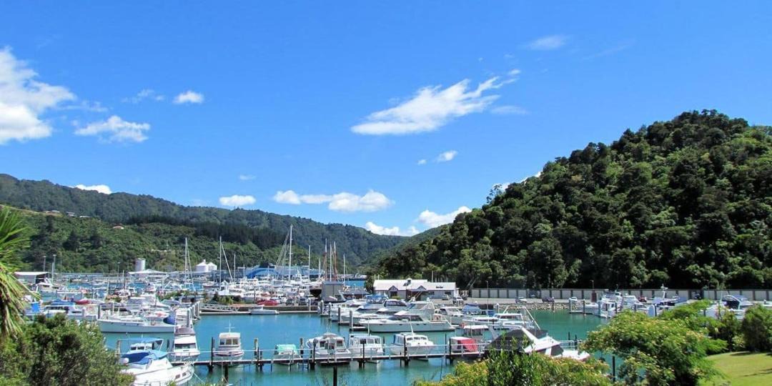 Photo of Others in Picton
