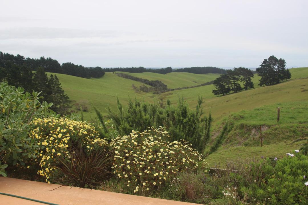 Photo of Others in Cable Bay
