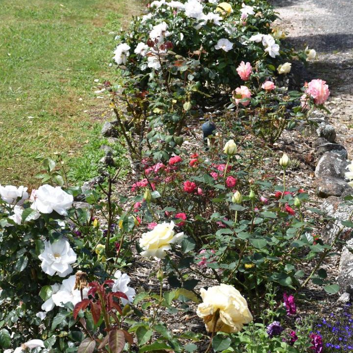 Photo of Others in Kerikeri