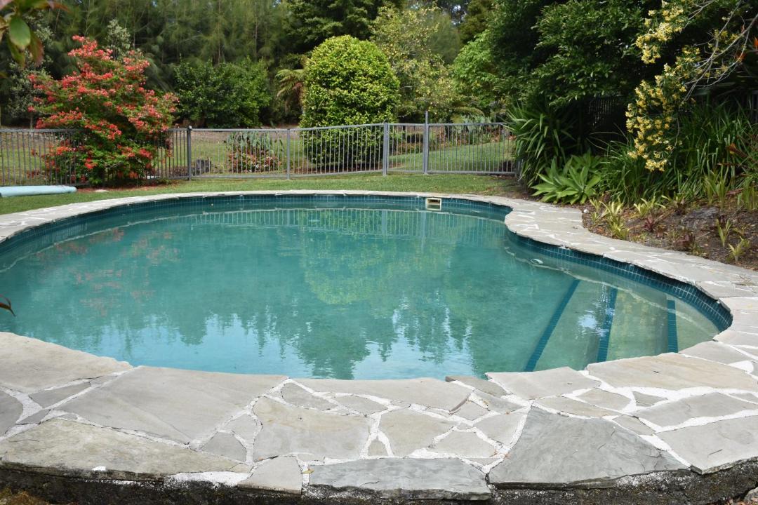 Photo of Others in Kerikeri