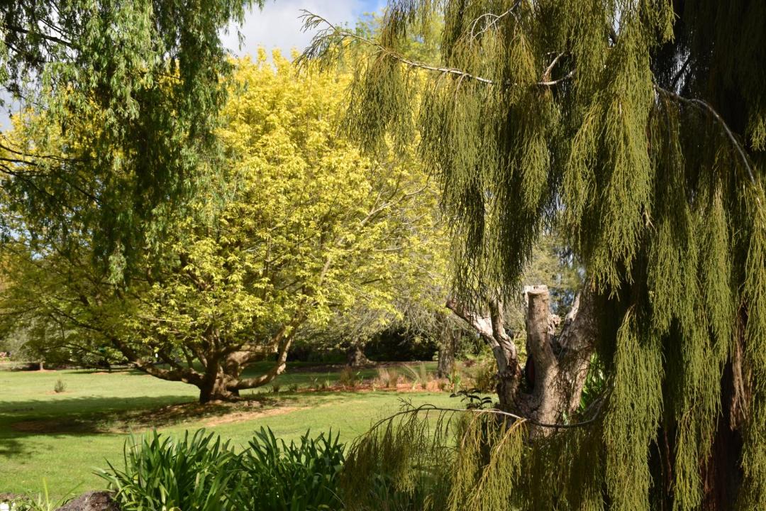 Photo of Others in Kerikeri