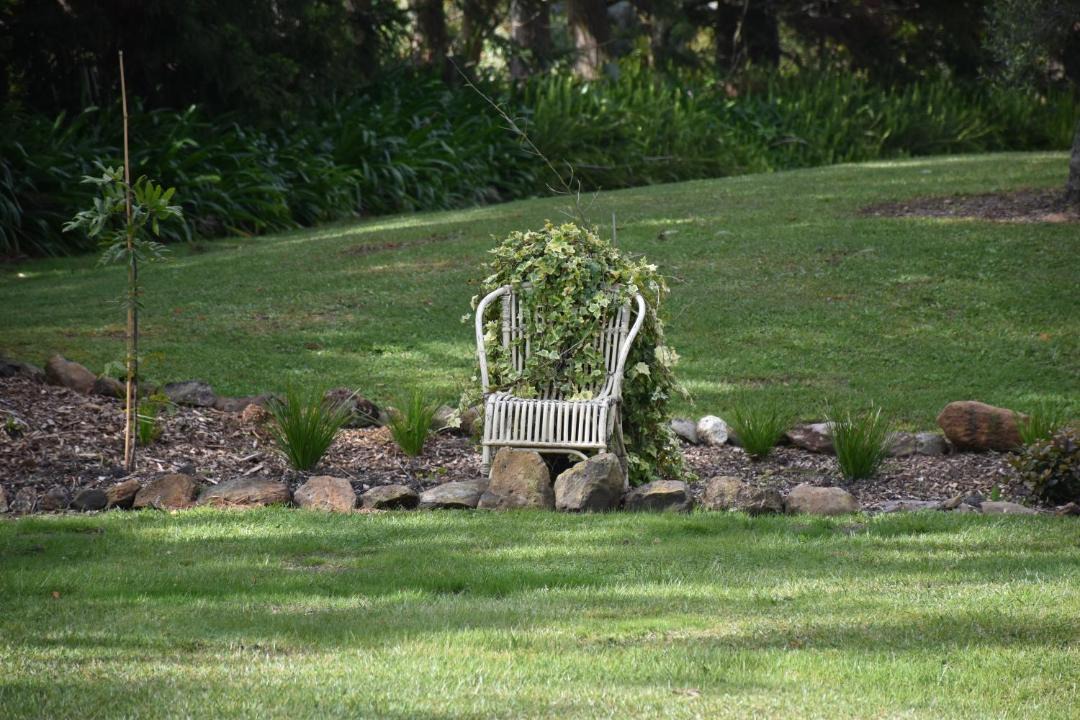 Photo of Others in Kerikeri