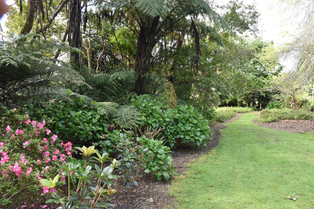 Photo of Others in Kerikeri