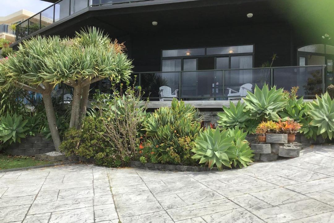 Photo of Others in Mangawhai Heads