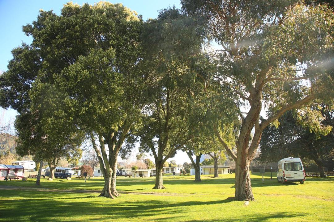 Photo of Others in Waikawa Bay
