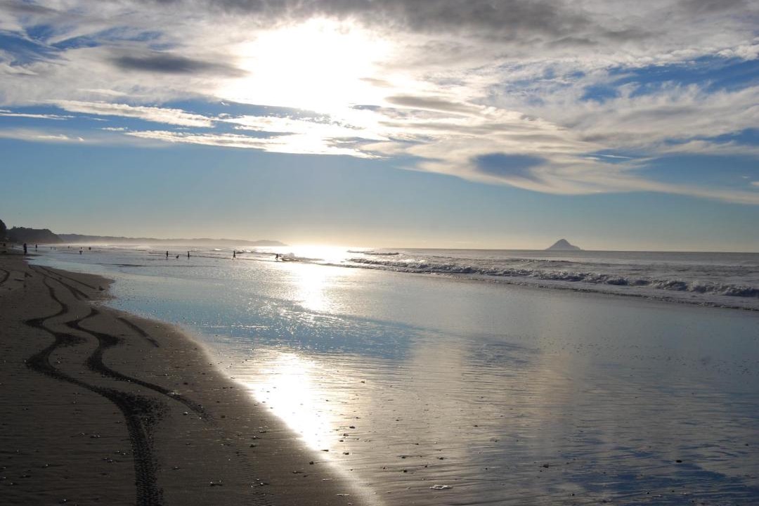Photo of Outdoor in Waiotahi