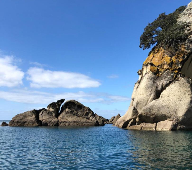 Photo of Others in Waihi Beach