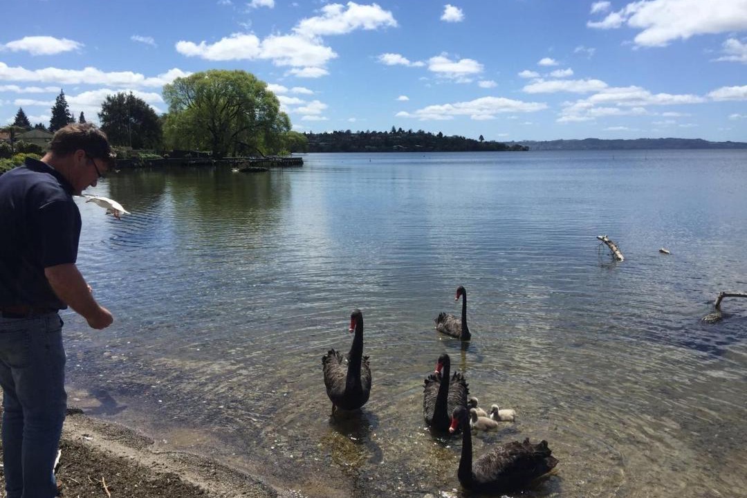 Photo of Others in Kawaha Point