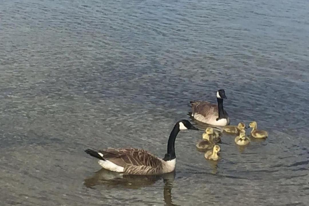 Photo of Others in Kawaha Point