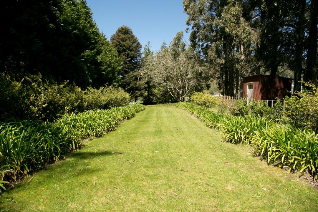 Photo of Others in Taupo