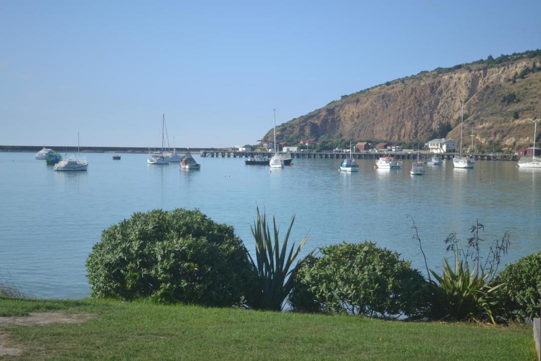 Photo of Others in Oamaru