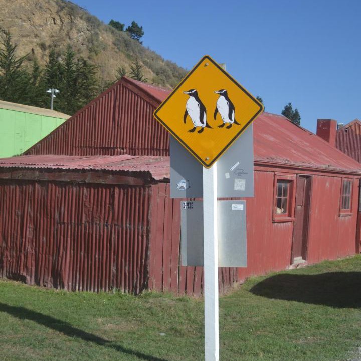 Photo of Buildings in Oamaru