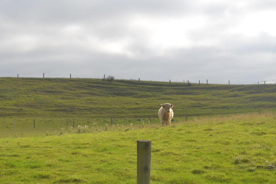 Photo of Others in Oamaru