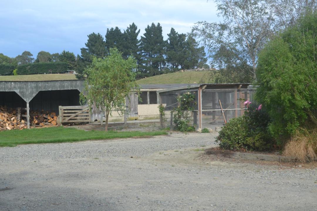 Photo of Others in Oamaru