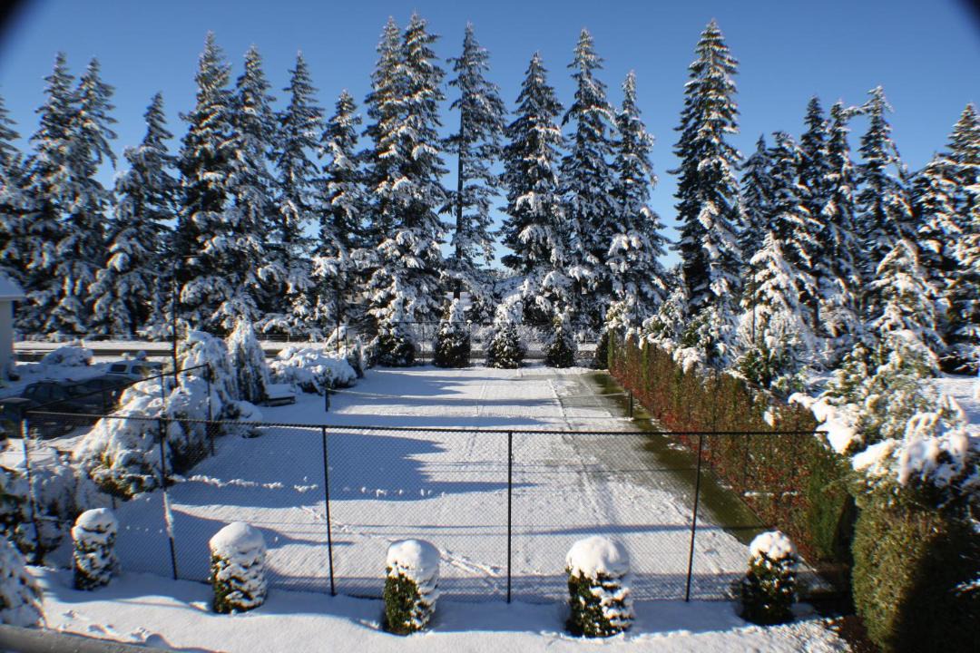 Photo of Others in Methven
