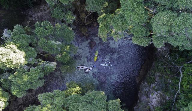 Photo of Others in Whangamata