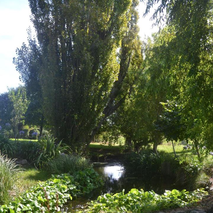 Photo of Others in Oamaru