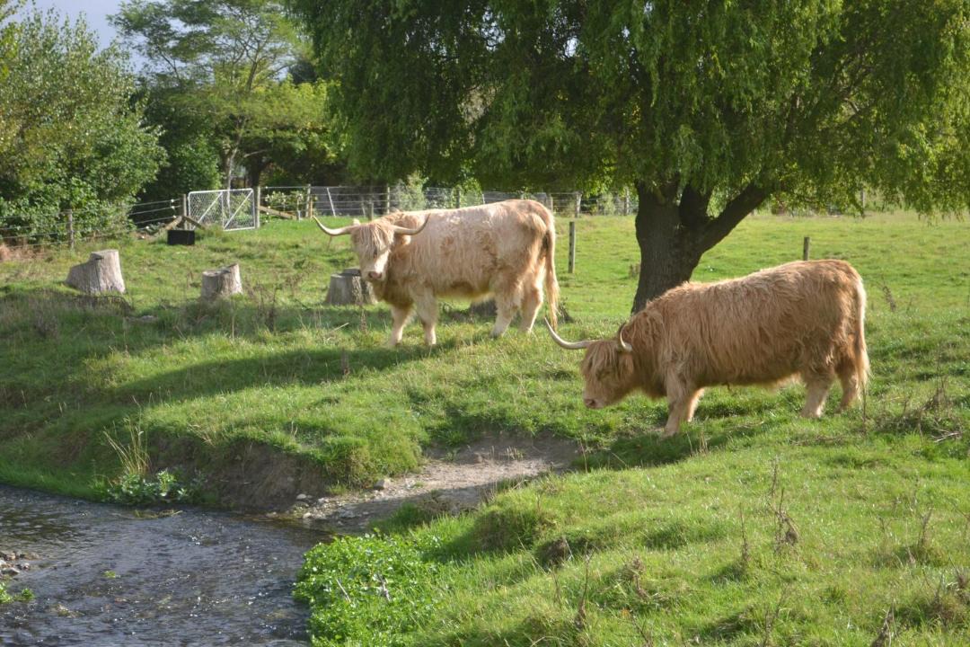 Photo of Others in Oamaru