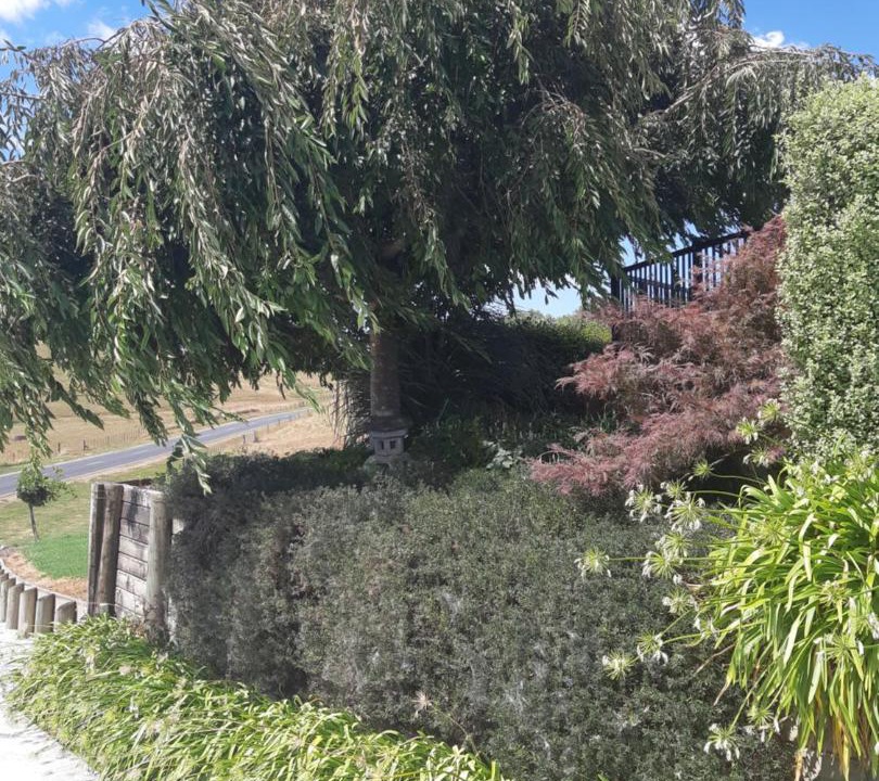 Photo of Others in Otorohanga