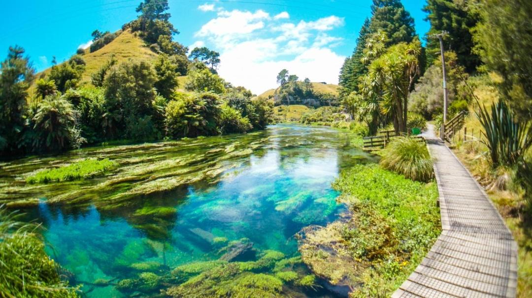Photo of Others in Putaruru