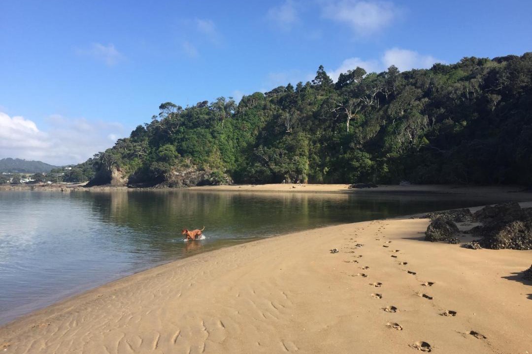 Photo of Others in Ngunguru