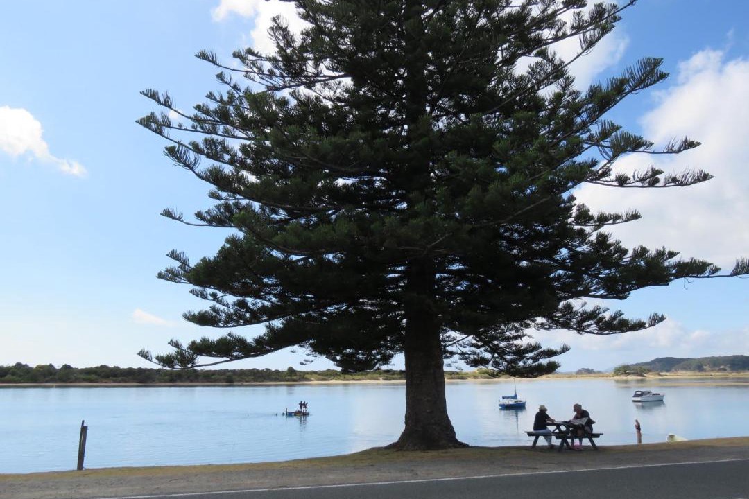 Photo of Others in Ngunguru