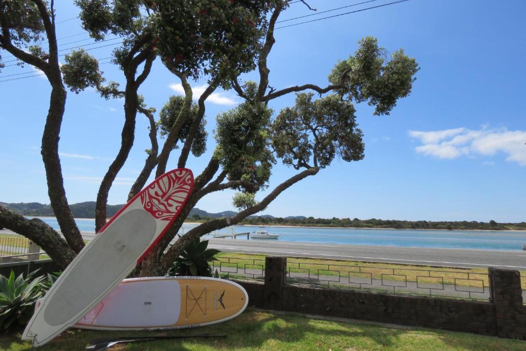 Photo of Others in Ngunguru