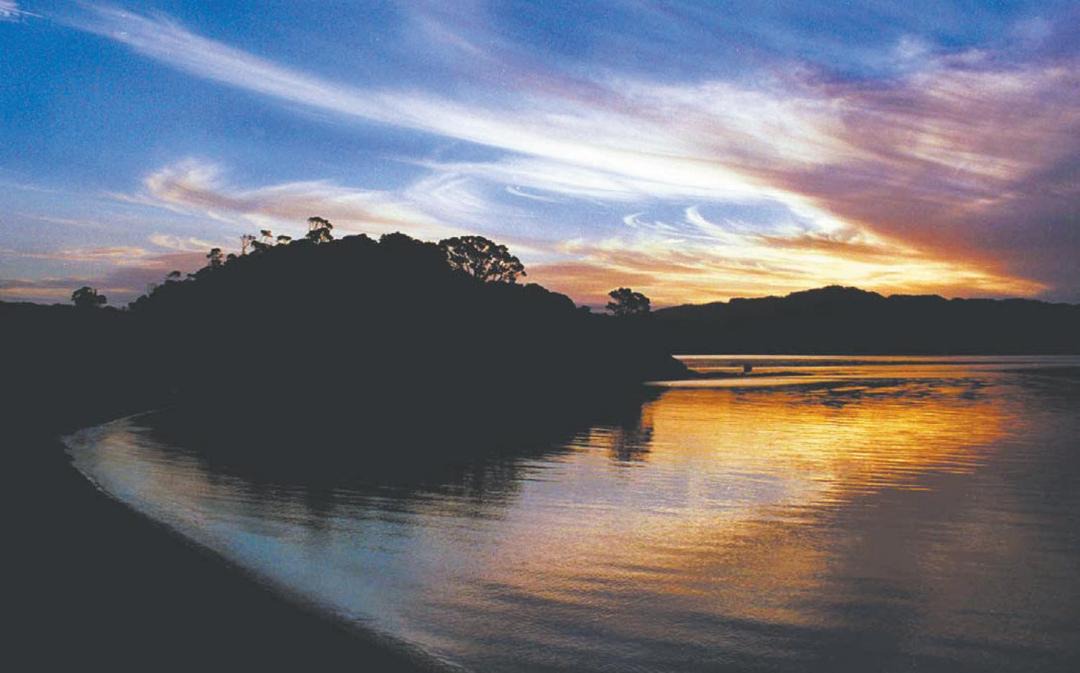 Photo of Others in Whangaruru