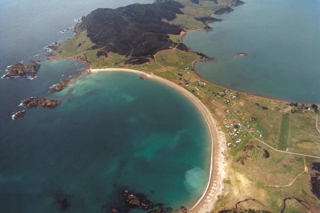 Photo of Others in Whangaruru