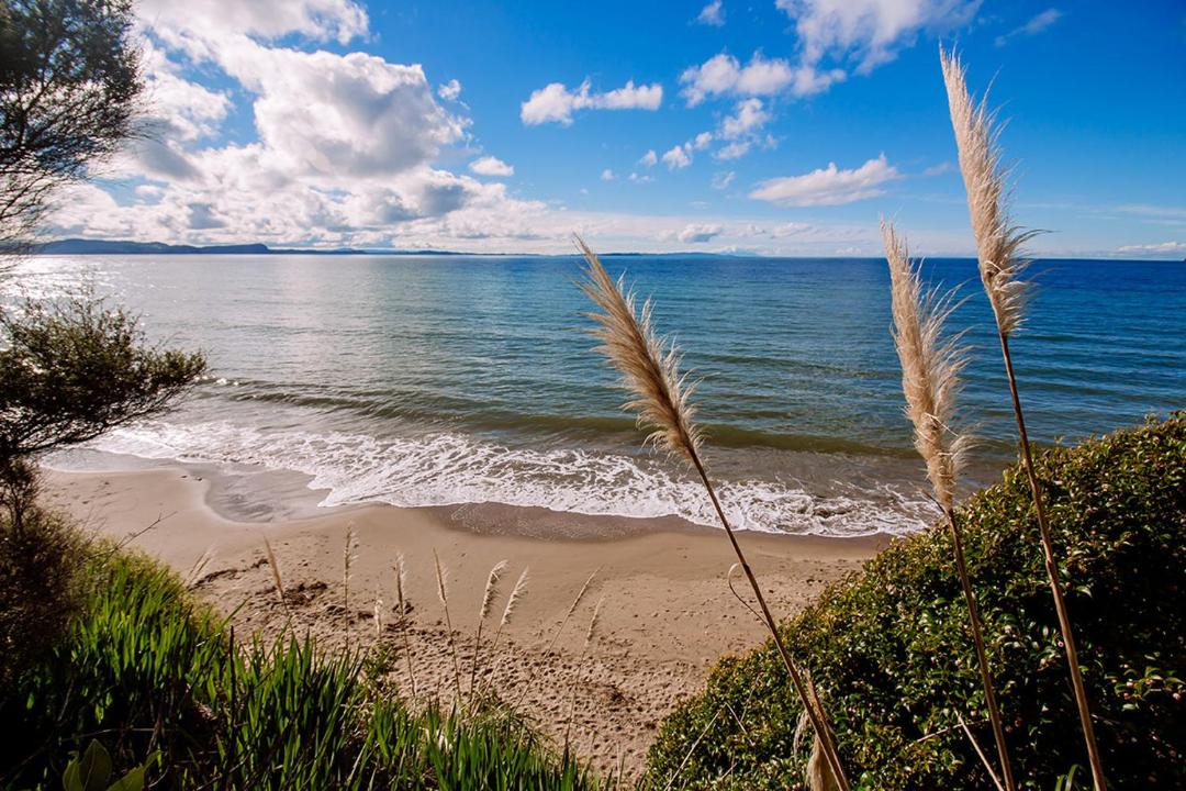 Photo of Others in Stanmore Bay