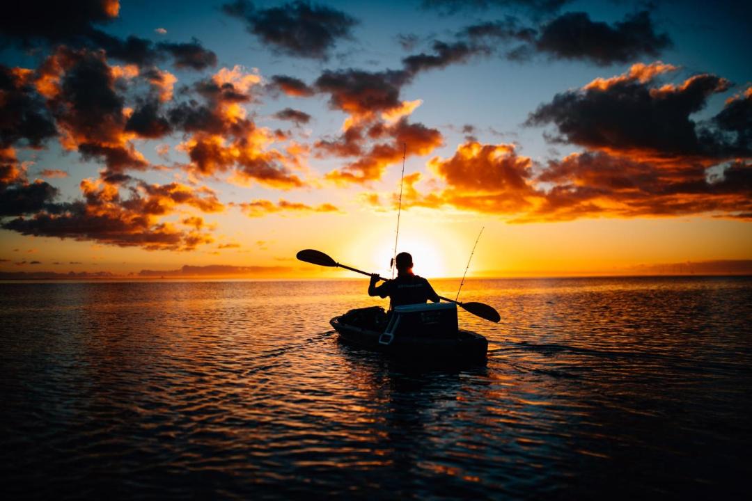 Photo of Others in Stanmore Bay