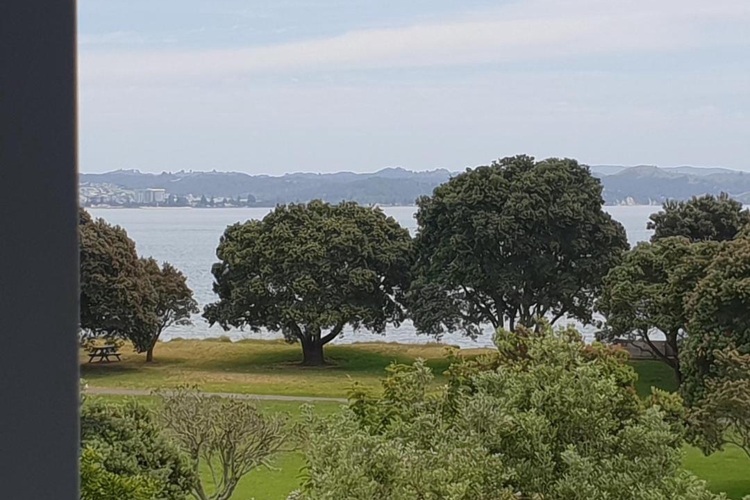Photo of Others in Stanmore Bay