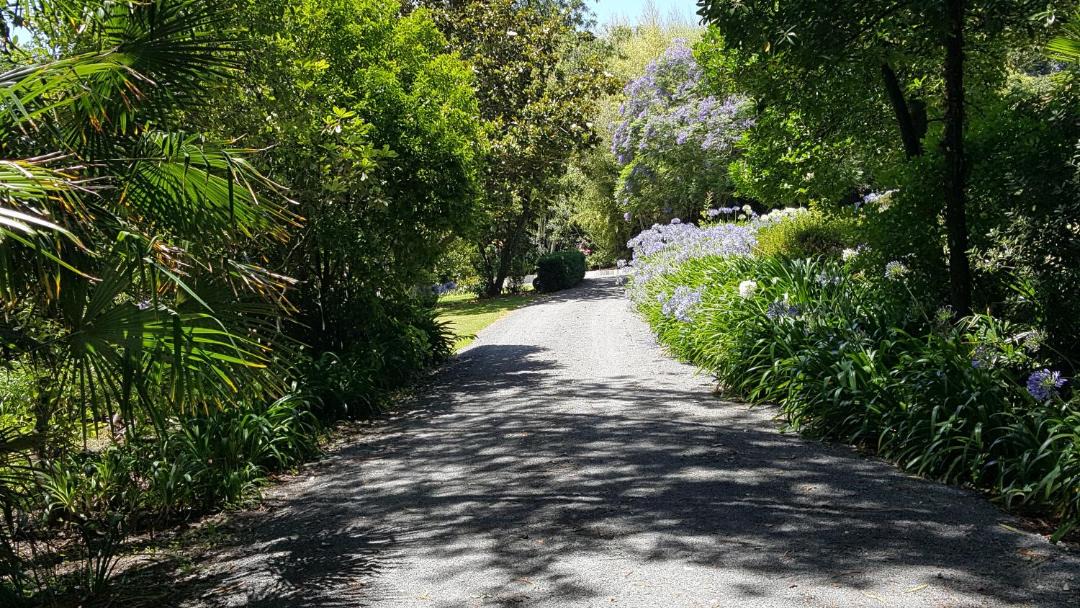 Photo of Others in Whanganui