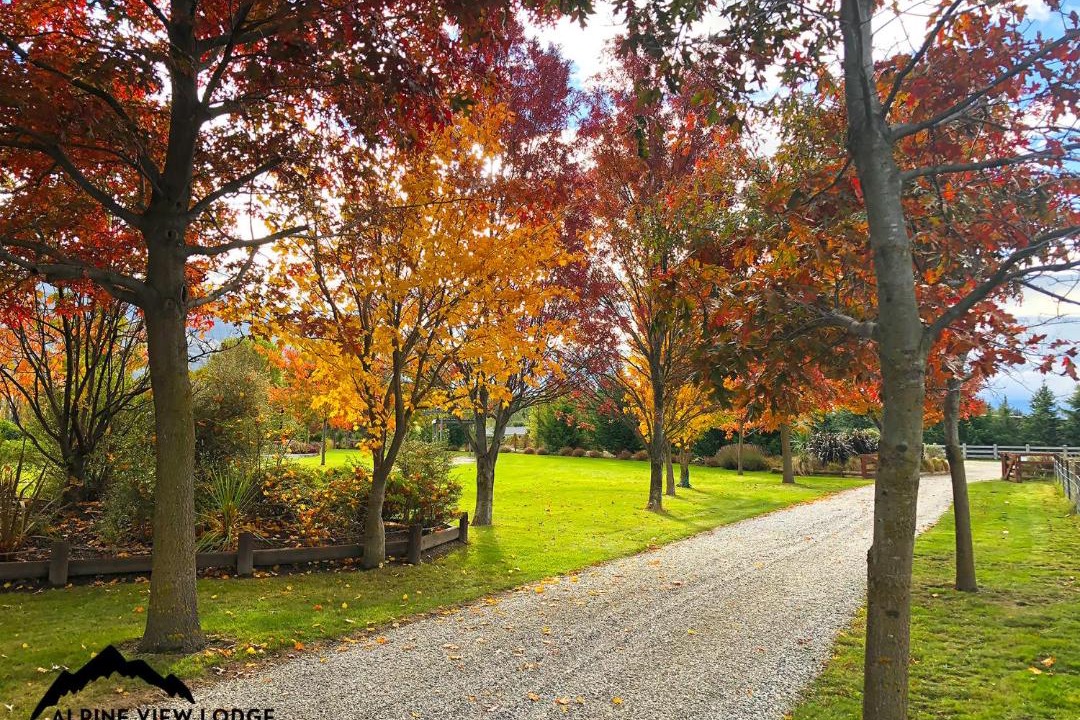 Photo of Others in Wanaka