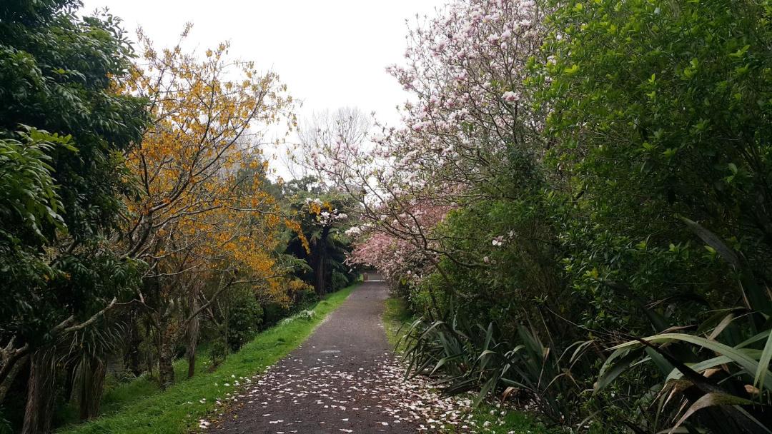 Photo of Outdoor in New Plymouth