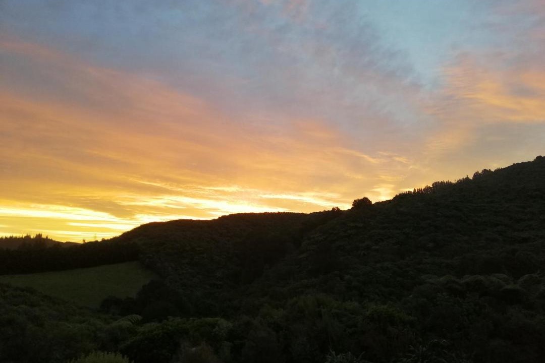 Photo of Others in Upper Hutt