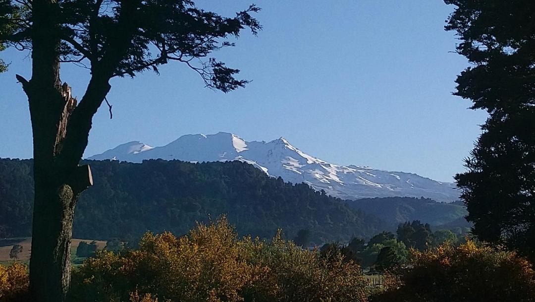Photo of Others in Ohakune