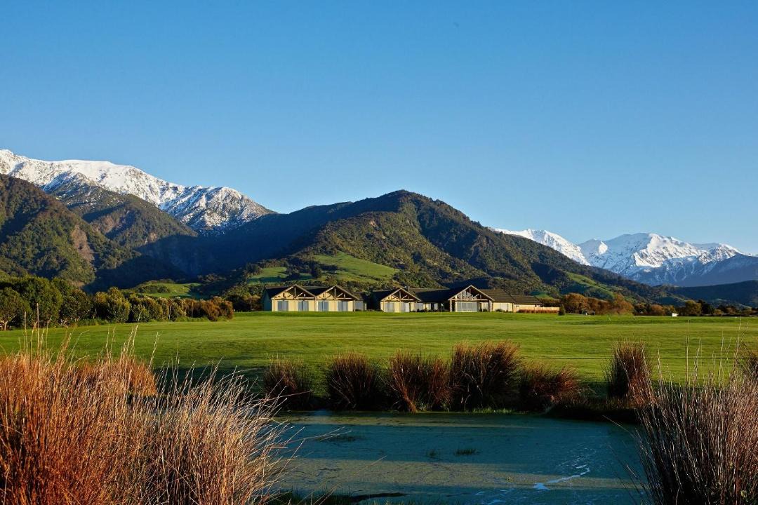 Photo of Others in Kaikoura