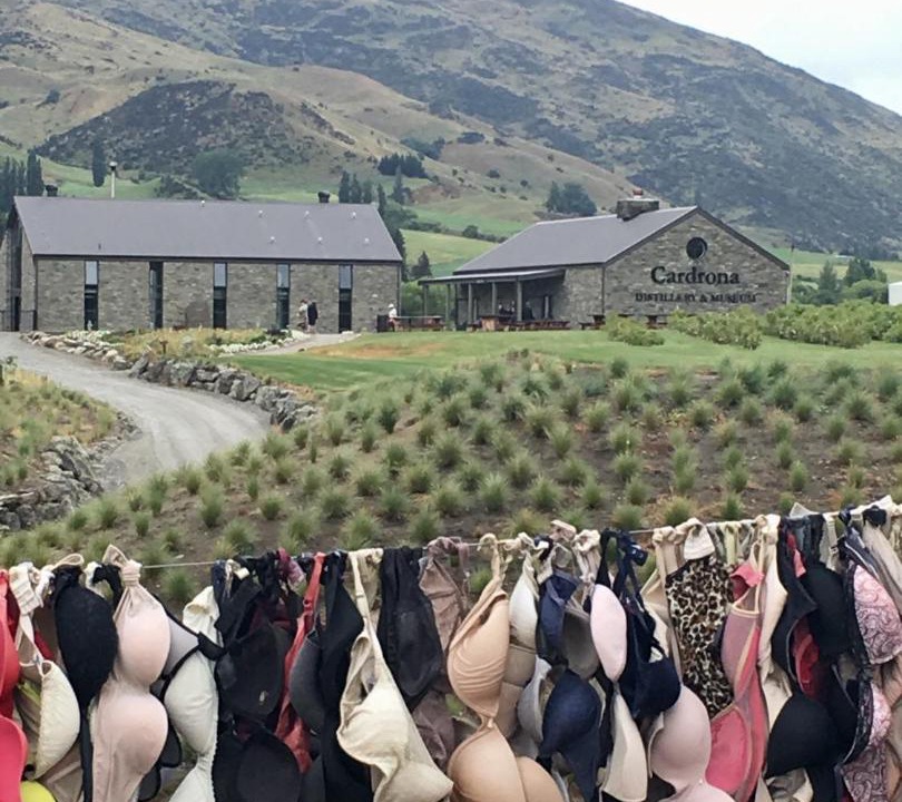 Photo of Others in Wanaka