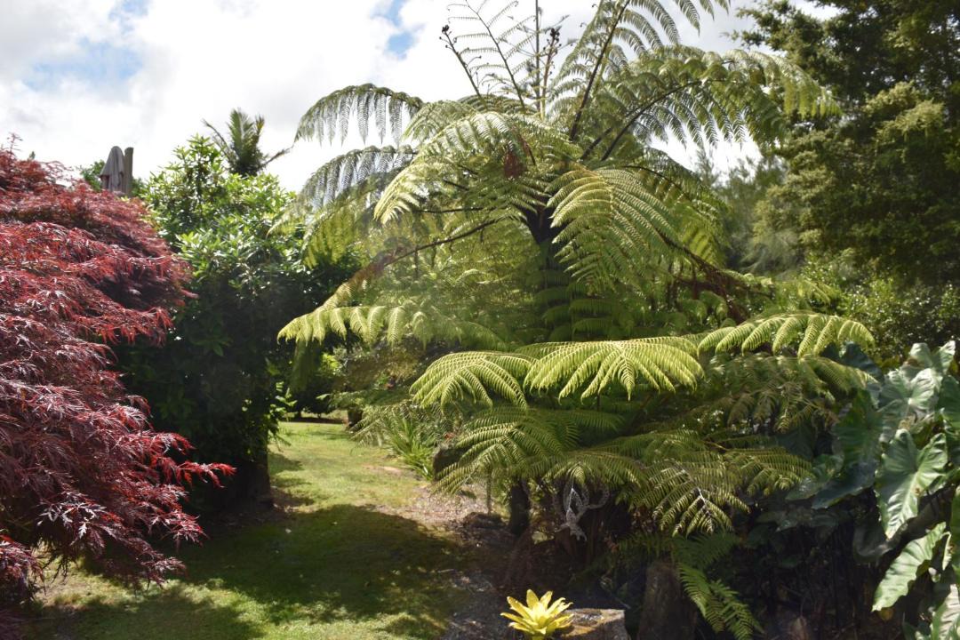 Photo of Others in Kerikeri