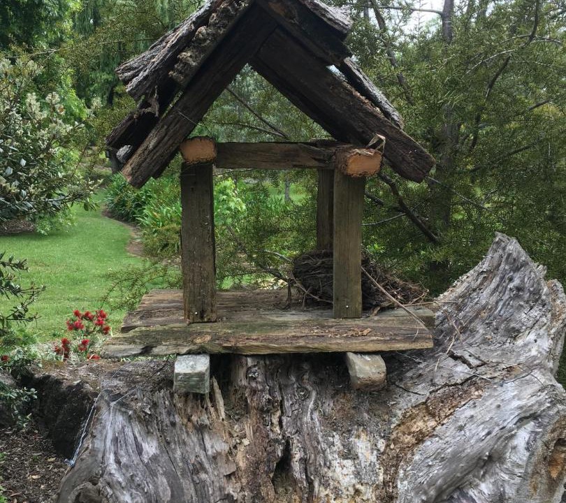 Photo of Others in Kerikeri