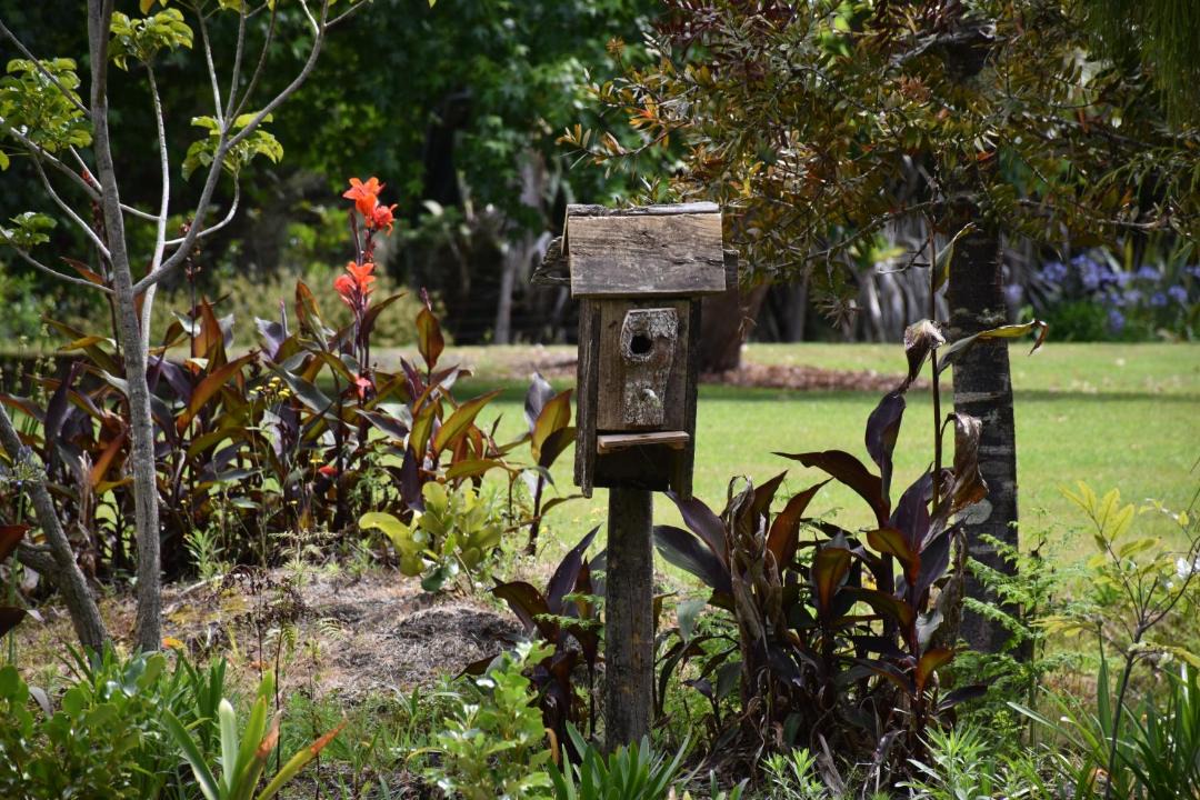 Photo of Others in Kerikeri