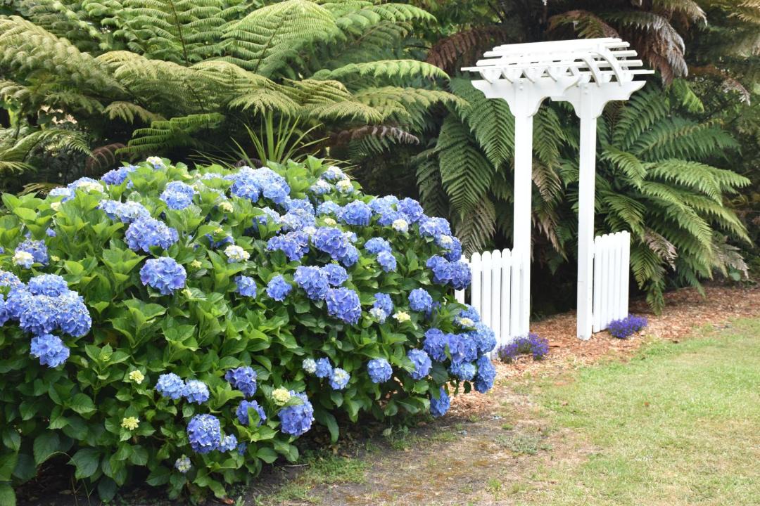 Photo of Others in Kerikeri