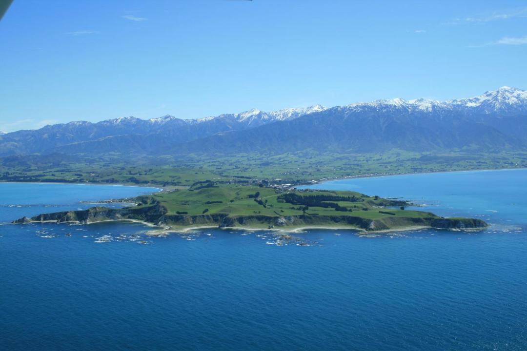 Photo of Others in Kaikoura