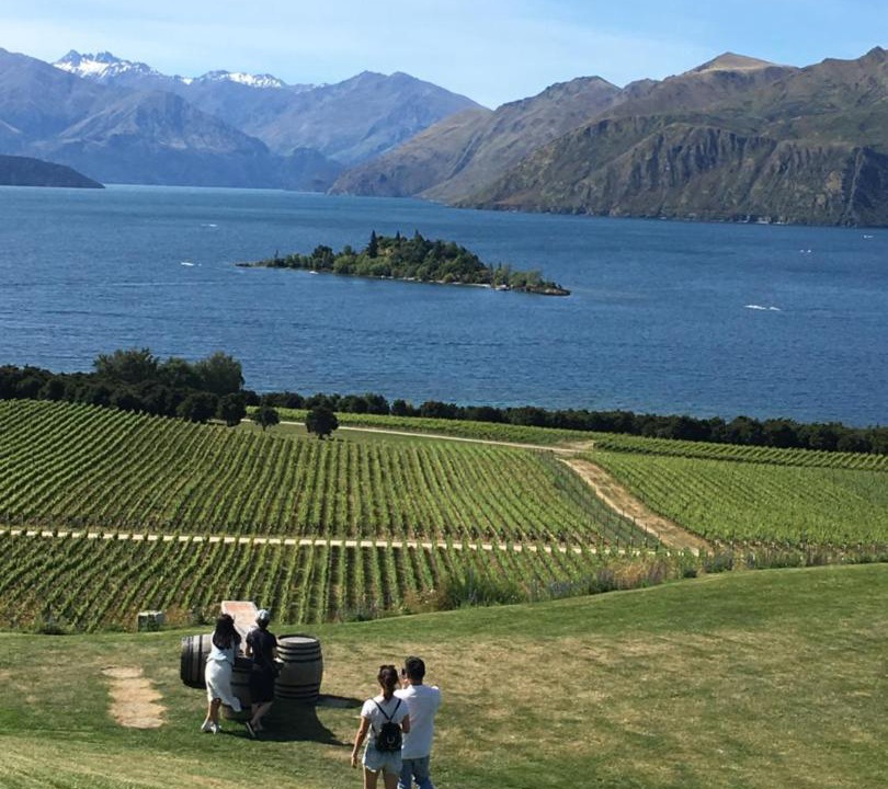 Photo of Others in Wanaka