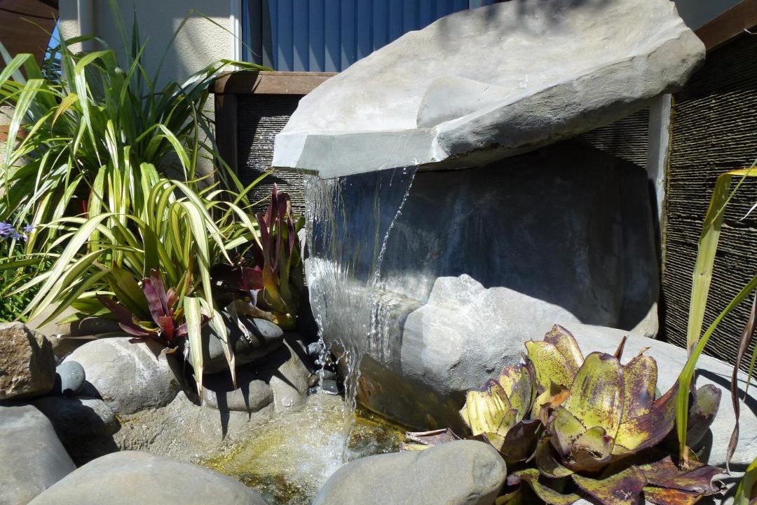 Photo of Others in Whakatane