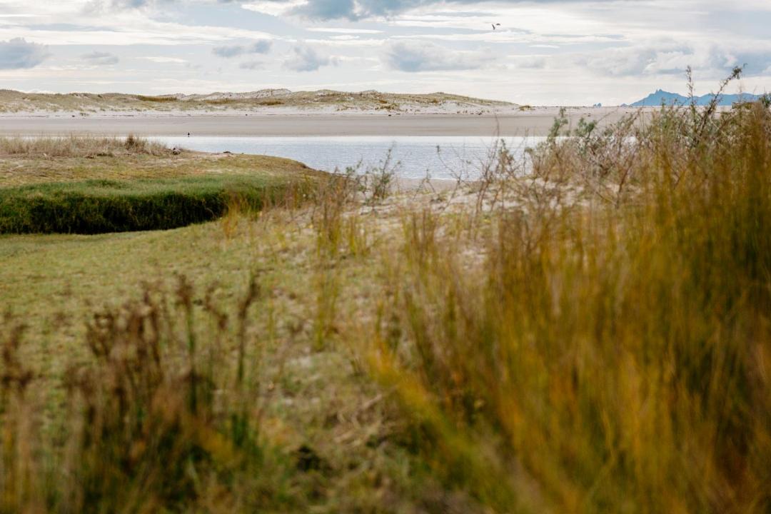 Photo of Others in Pakiri