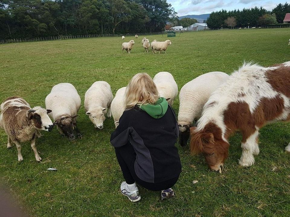 Photo of Others in Levin