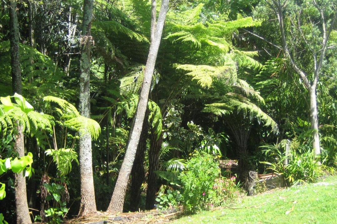 Photo of Others in Mairangi Bay