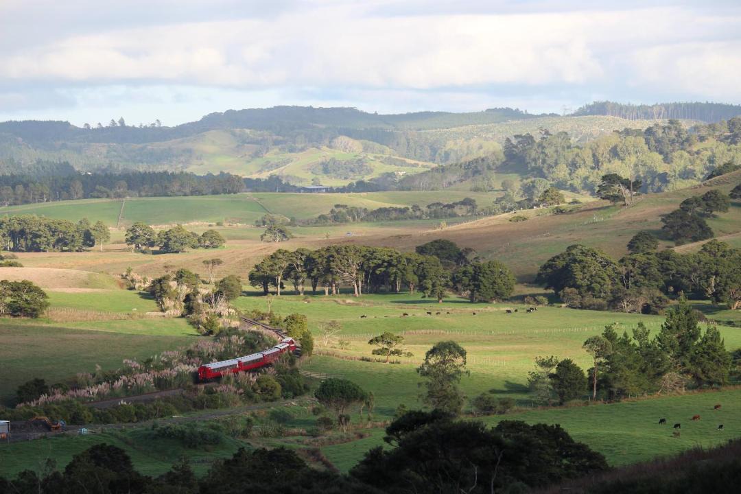 Photo of Others in Waimauku